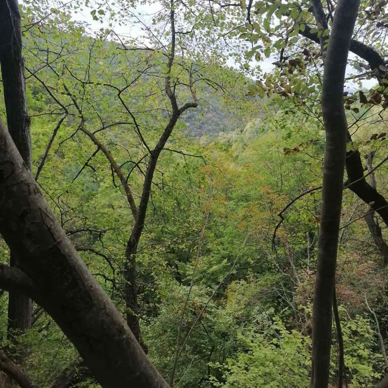 Tara Sarganska Osmica 1